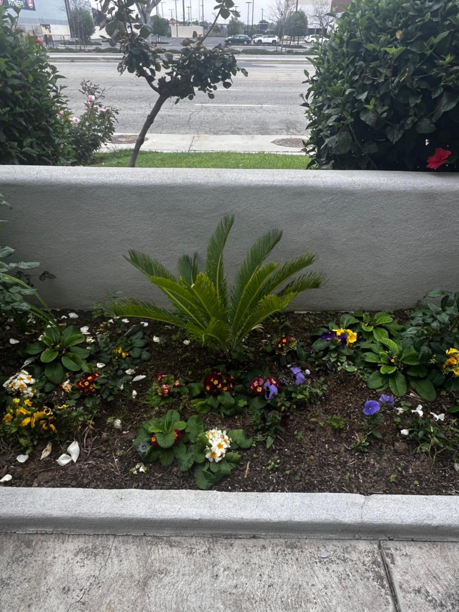 El Segundo Inn Hawthorne Eksteriør bilde